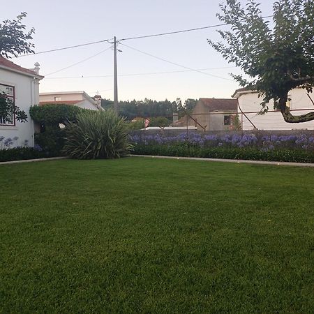 Vila Delfina Lousã Zewnętrze zdjęcie