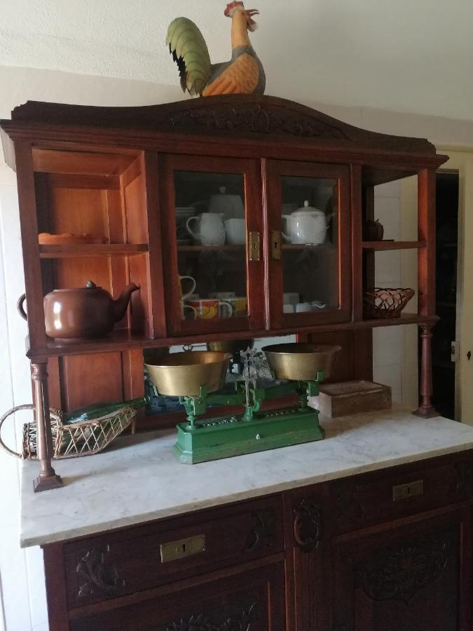Vila Delfina Lousã Zewnętrze zdjęcie