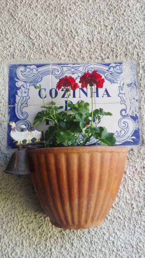 Vila Delfina Lousã Zewnętrze zdjęcie